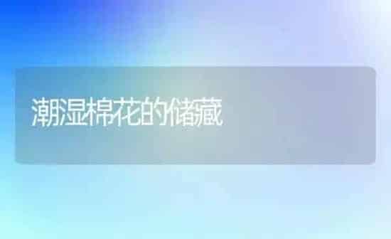 潮湿棉花的储藏 | 粮油作物种植