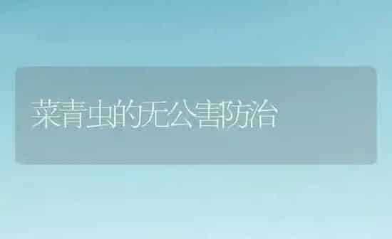菜青虫的无公害防治 | 蔬菜种植