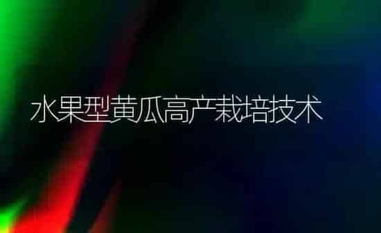 水果型黄瓜高产栽培技术 | 瓜果种植
