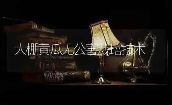 大棚黄瓜无公害栽培技术 | 蔬菜种植