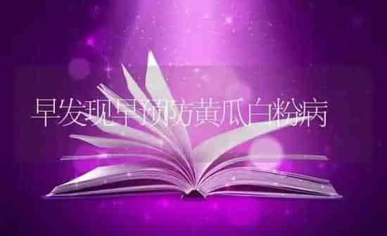 早发现早预防黄瓜白粉病 | 瓜果种植