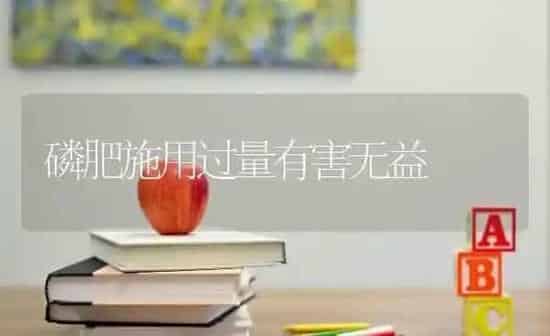 菜种有新陈 种时辨别清 | 蔬菜种植