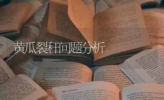 黄瓜裂秆问题分析 | 蔬菜种植