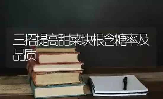 三招提高甜菜块根含糖率及品质 | 蔬菜种植
