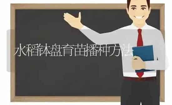 水稻钵盘育苗播种方法 | 粮油作物种植