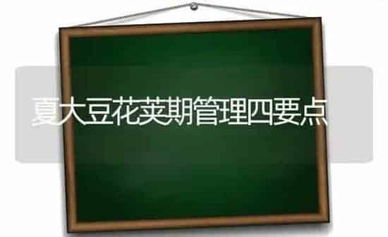 夏大豆花荚期管理四要点 | 粮油作物种植