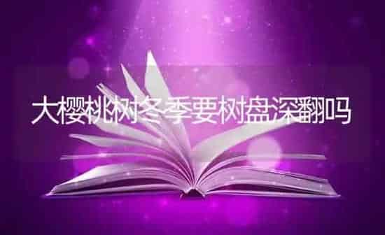 大樱桃树冬季要树盘深翻吗 | 瓜果种植