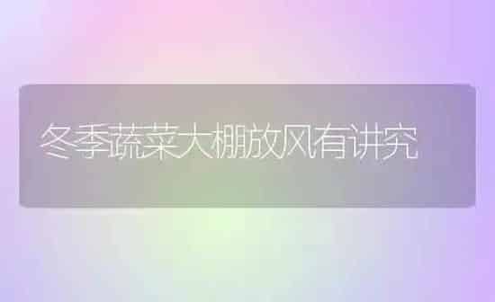 冬季蔬菜大棚放风有讲究 | 蔬菜种植