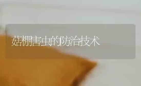 菇棚害虫的防治技术 | 食用菌种植