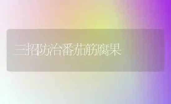三招防治番茄筋腐果 | 瓜果种植