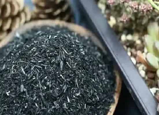 种植土壤|草木灰和铵态氮肥不能混用的原因