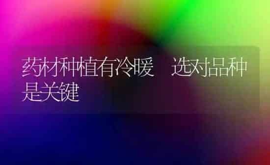 药材种植有冷暖 选对品种是关键 | 药材种植