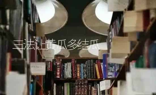 三法让黄瓜多结瓜 | 蔬菜种植