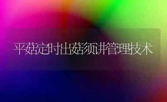 平菇定时出菇须讲管理技术 | 食用菌种植