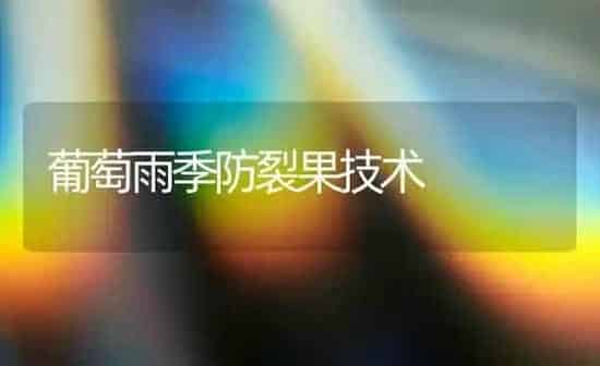 葡萄雨季防裂果技术 | 瓜果种植