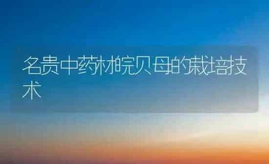 名贵中药材皖贝母的栽培技术 | 药材种植