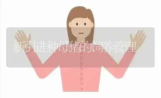 应用“以水带氮”施肥  提高水稻氮肥利用率 | 粮油作物种植