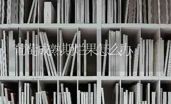 葡萄成熟期烂果怎么办 | 瓜果种植