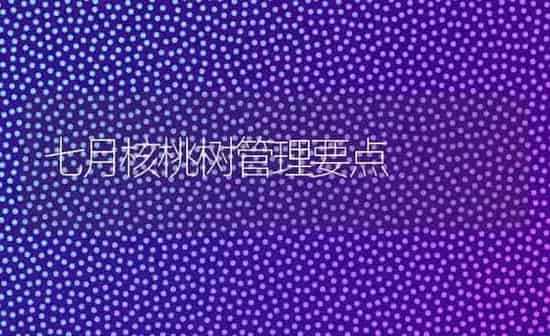 七月核桃树管理要点 | 瓜果种植