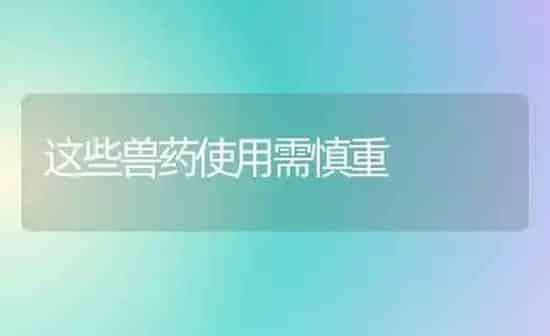 水稻的适宜收割期 | 粮油作物种植