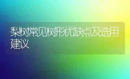 梨树常见树形优缺点及选用建议 | 瓜果种植