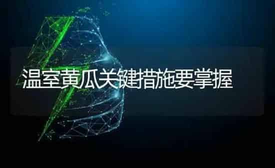 温室黄瓜关键措施要掌握 | 蔬菜种植