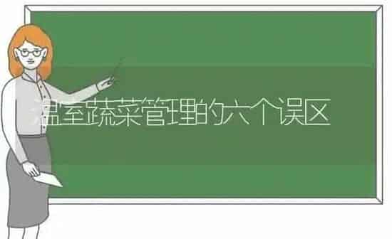 温室蔬菜管理的六个误区 | 蔬菜种植