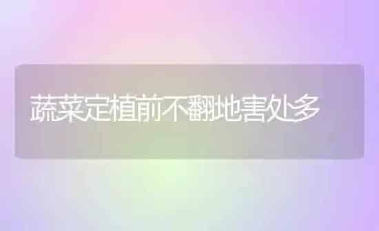 蔬菜定植前不翻地害处多 | 蔬菜种植