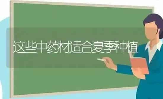 这些中药材适合夏季种植 | 药材种植