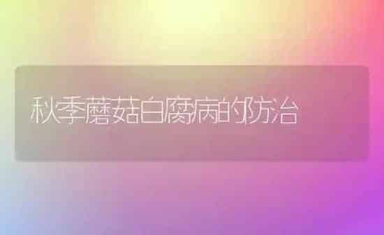 秋季蘑菇白腐病的防治 | 食用菌种植