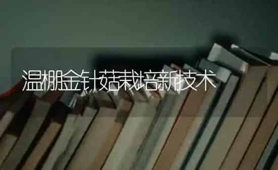 温棚金针菇栽培新技术 | 食用菌种植