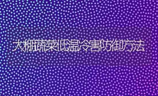 大棚蔬菜低温冷害防御方法 | 蔬菜种植