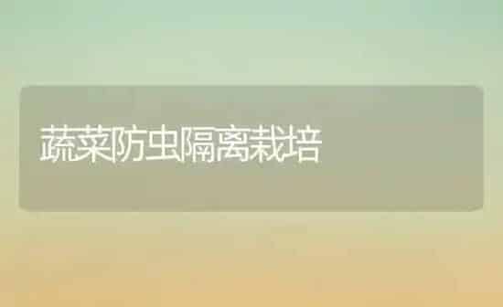 蔬菜防虫隔离栽培 | 蔬菜种植