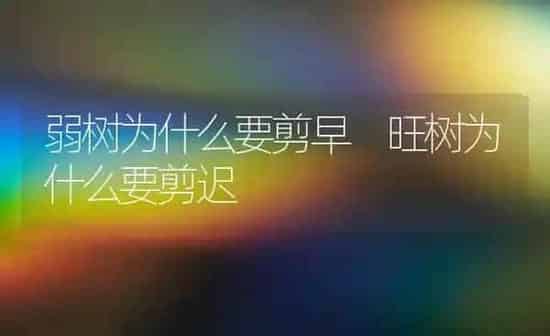 套袋苹果皱裂该咋办 | 瓜果种植