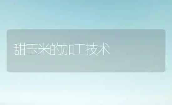 甜玉米的加工技术 | 粮油作物种植