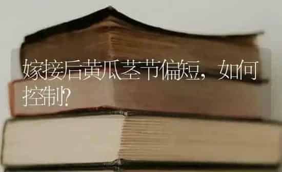嫁接后黄瓜茎节偏短，如何控制？ | 蔬菜种植