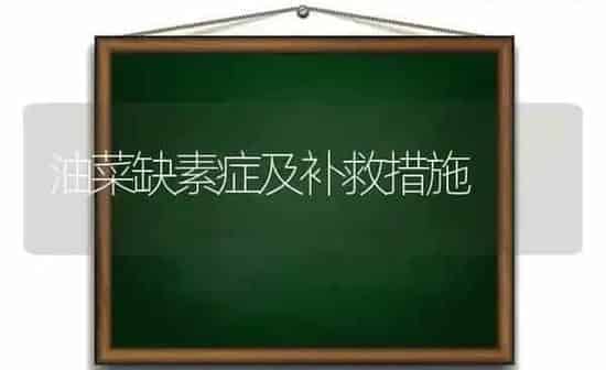 油菜缺素症及补救措施 | 粮油作物种植