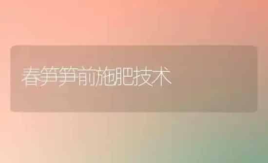 春笋笋前施肥技术 | 种植肥料施肥