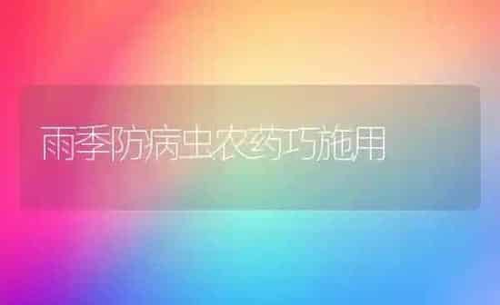 雨季防病虫农药巧施用 | 种植病虫害防治