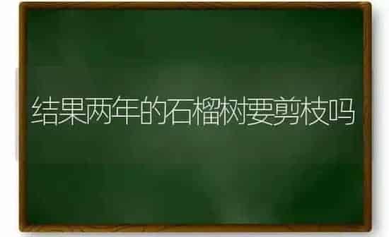 结果两年的石榴树要剪枝吗 | 瓜果种植