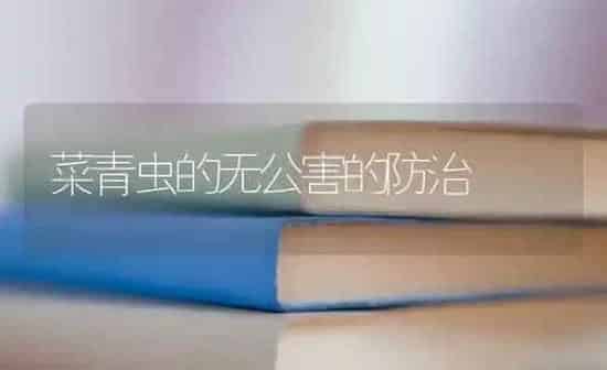 菜青虫的无公害的防治 | 蔬菜种植