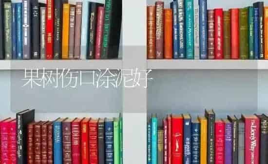 果树伤口涂泥好 | 瓜果种植