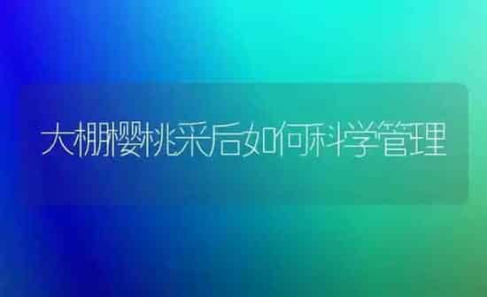 大棚樱桃采后如何科学管理 | 瓜果种植