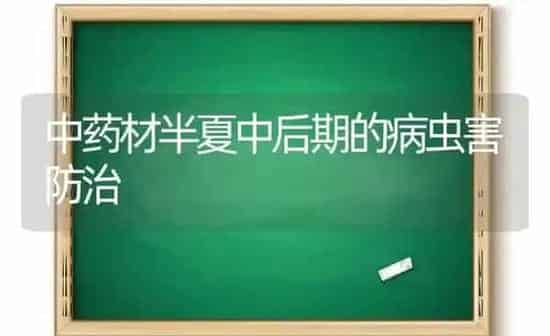 中药材半夏中后期的病虫害防治 | 药材种植