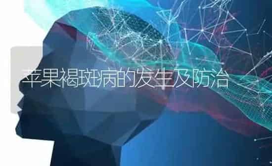 苹果褐斑病的发生及防治 | 瓜果种植