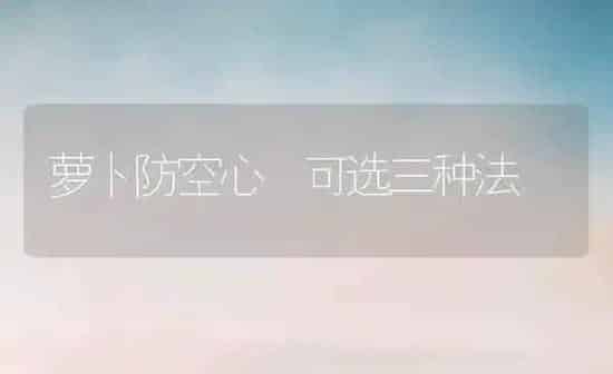 萝卜防空心 可选三种法 | 蔬菜种植