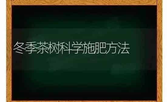 冬季茶树科学施肥方法 | 种植肥料施肥