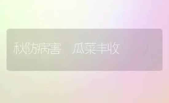 秋防病害 瓜菜丰收 | 蔬菜种植