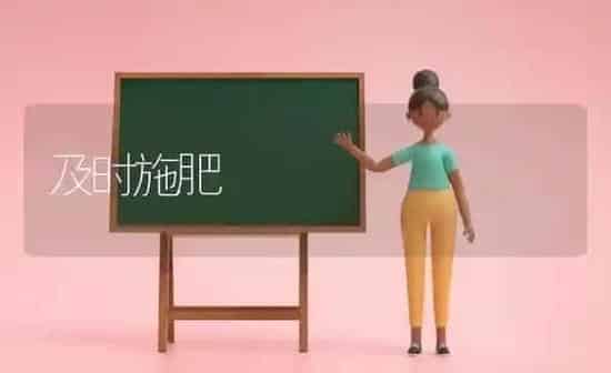 及时施肥 | 种植肥料施肥