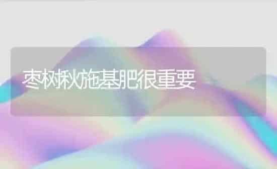 枣树秋施基肥很重要 | 瓜果种植